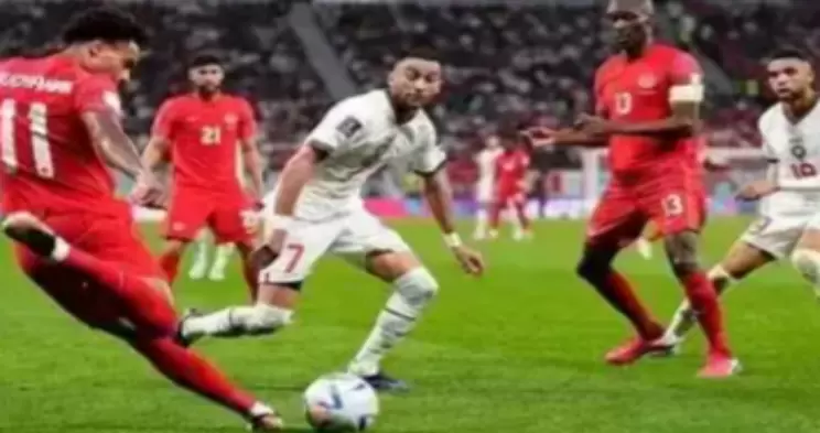 卡塔尔VS瑞士直播_卡塔尔VS瑞士在线体育直播赛事观看_卡塔尔VS瑞士免费在线观看体育直播-24直播